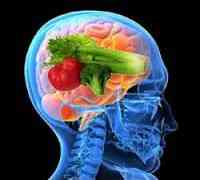 Brain Health With Ginkgo Biloba 